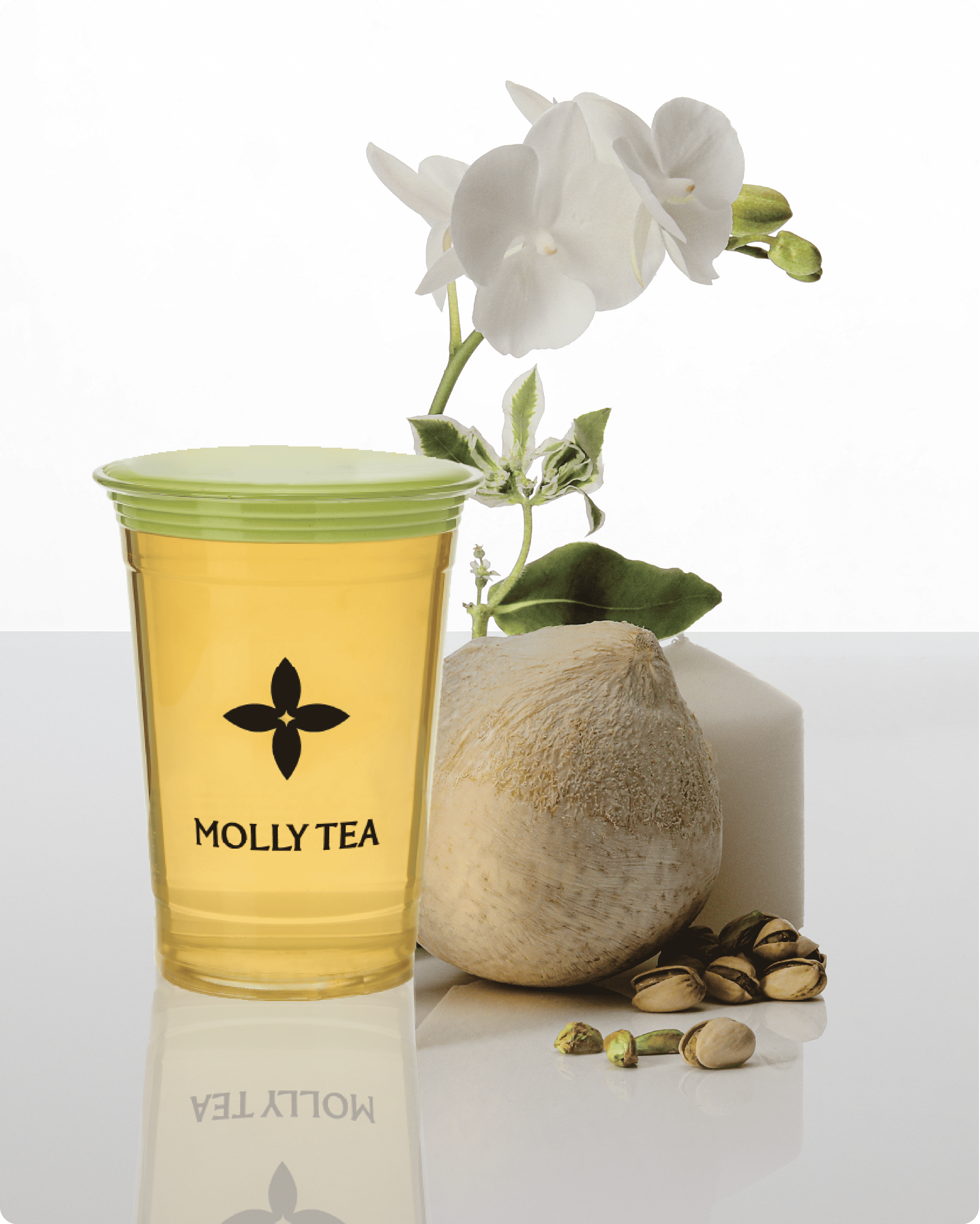 PISTACHIO WHITE CHAMPACA COCO