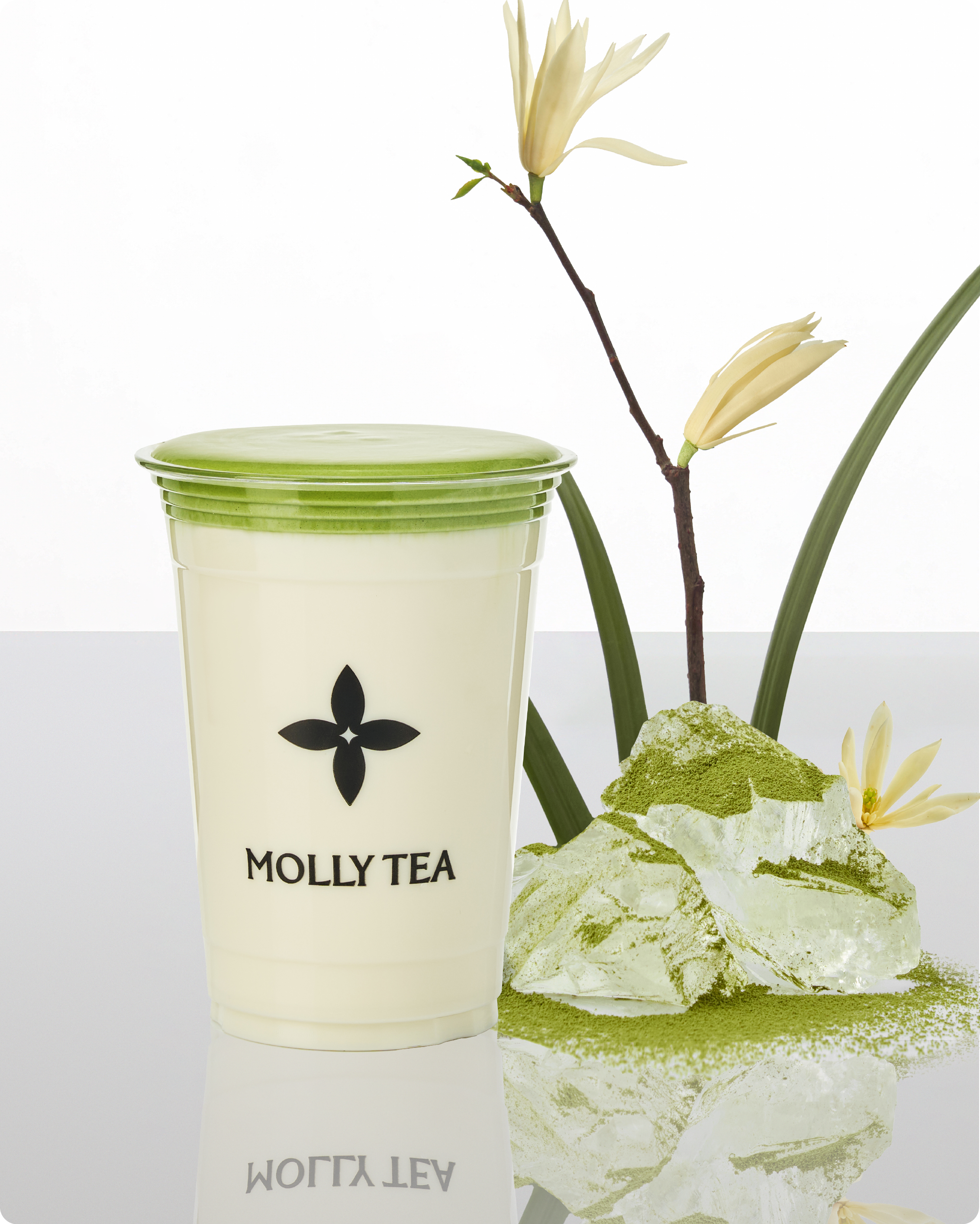 WHITE CHAMPACA MATCHA